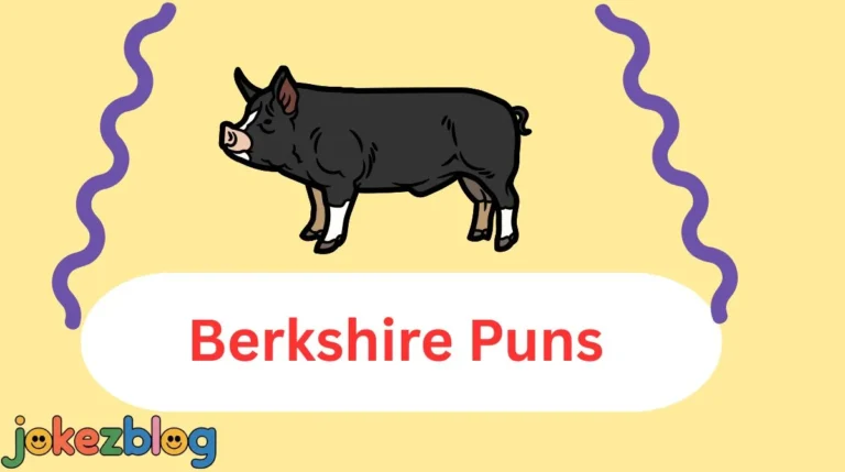 Berkshire Puns