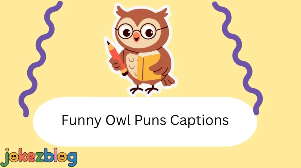 Funny Owl Puns Captions