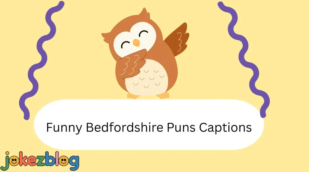 Funny Bedfordshire Puns Captions