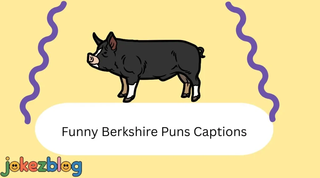 Funny Berkshire Puns Captions