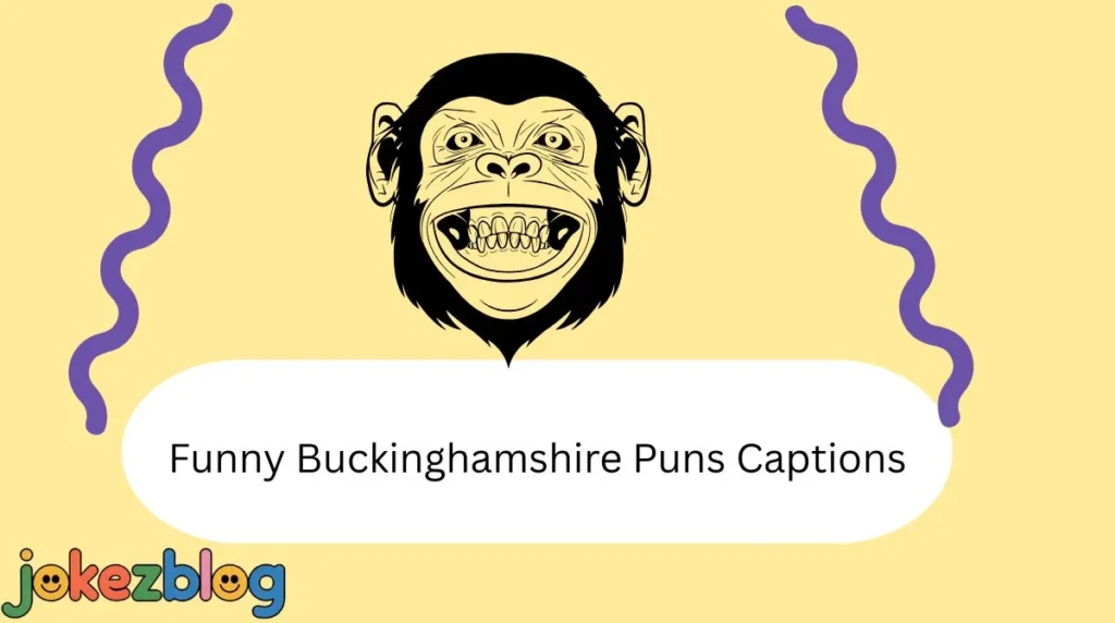 Funny Buckinghamshire Puns Captions