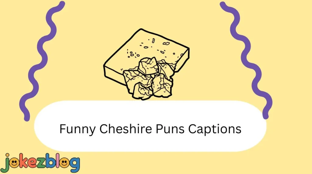 Funny Cheshire Puns Captions