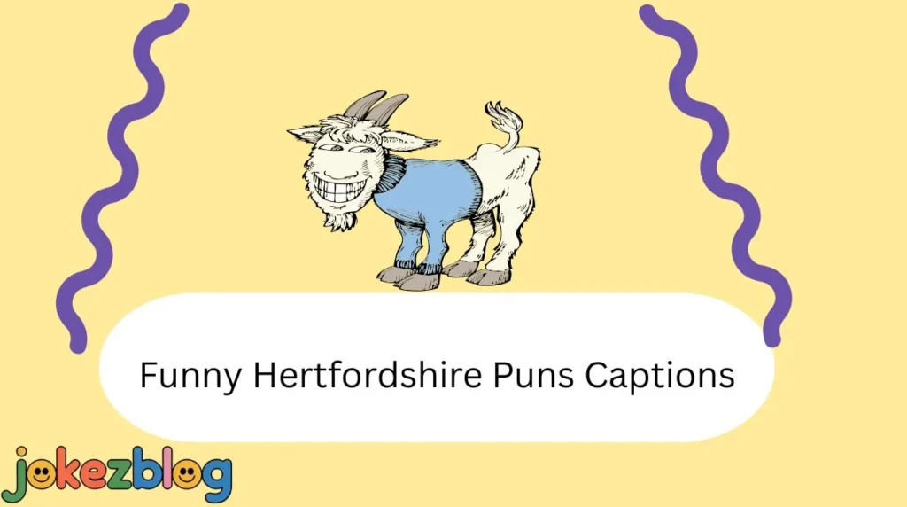 Funny Hertfordshire Puns Captions