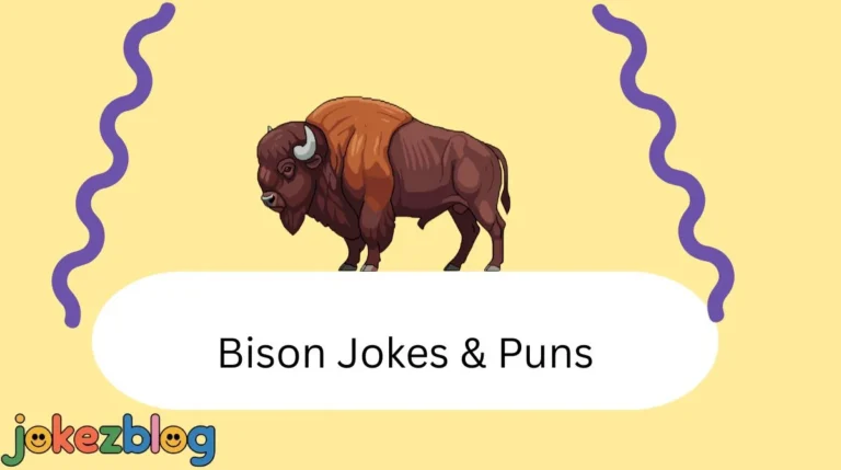 Bison Jokes & Puns